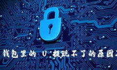 TPWallet 钱包里的 U 提现不了的原因及解