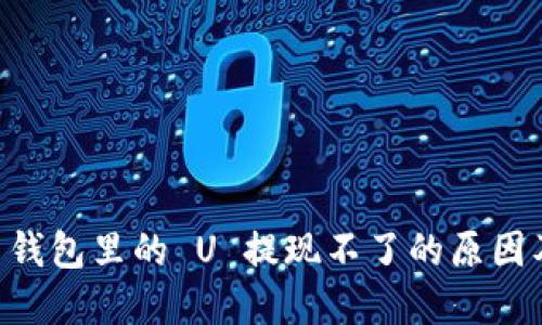 TPWallet 钱包里的 U 提现不了的原因及解决方法