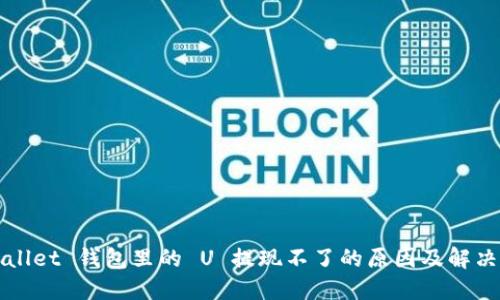 TPWallet 钱包里的 U 提现不了的原因及解决方法