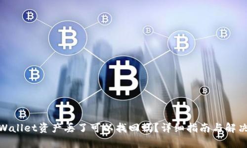 : tpWallet资产丢了可以找回吗?详细指南与解决方案