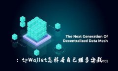 : tpWallet怎样看自己赚多少钱