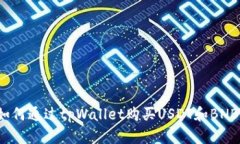 如何通过tpWallet购买USDT和BNB？