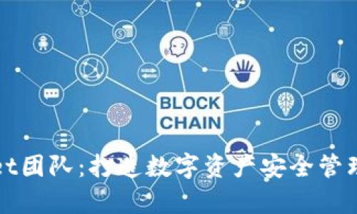 tpWallet团队:打造数字资产安全管理新标杆