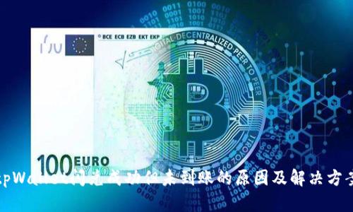 tpWallet闪兑成功但未到账的原因及解决方案