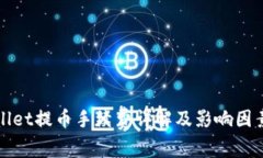 tpWallet提币手续费详解及影响因素分析
