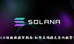 tpWallet上链数据填写指南：如何正确填