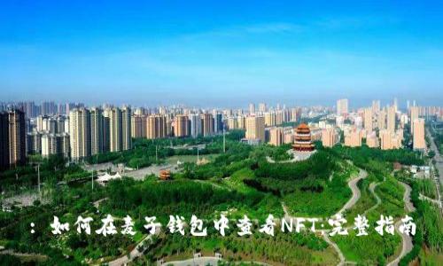 : 如何在麦子钱包中查看NFT：完整指南