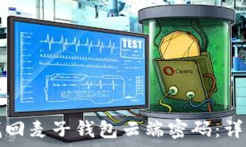 如何找回麦子钱包云端密码:详细指南
