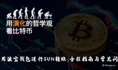 如何使用波宝钱包进行SUN转账：全程指