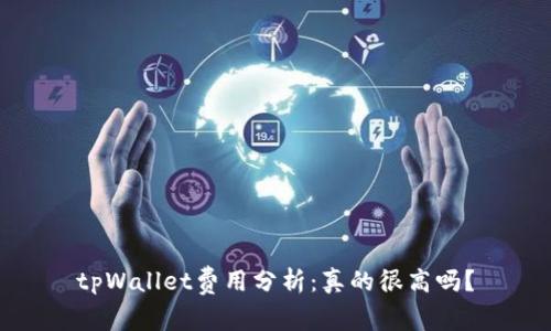 tpWallet费用分析:真的很高吗?