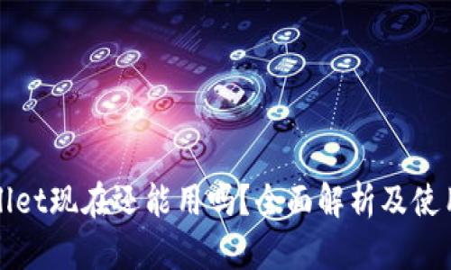 tpWallet现在还能用吗?全面解析及使用指南
