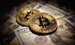 tpWallet支持Doge币及其公链解析