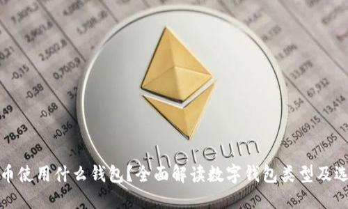 数字货币使用什么钱包?全面解读数字钱包类型及选择指南