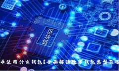 数字货币使用什么钱包？全面解读数字