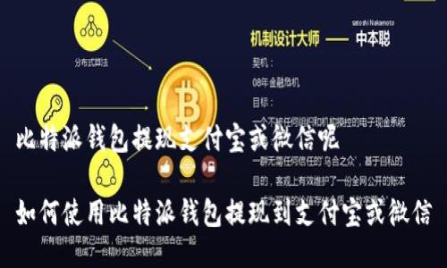 比特派钱包提现支付宝或微信呢
如何使用比特派钱包提现到支付宝或微信