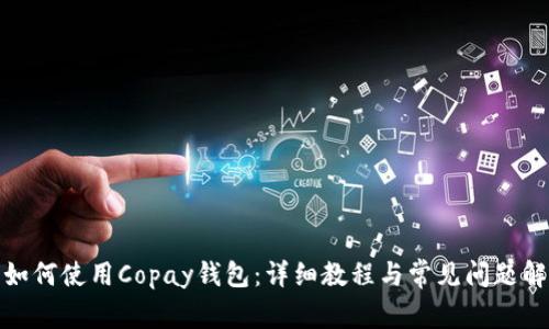 : 如何使用Copay钱包：详细教程与常见问题解答