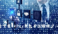 如何快速下载OKPay钱包并注册账户：全