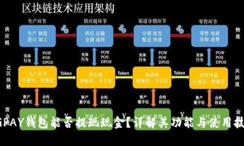 CGPAY钱包能否提现现金?详解其功能与使用技巧