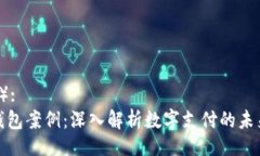 （Title）: 谷歌钱包案例：深入解析数