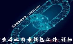   如何查看比特币钱包文件：详细指南