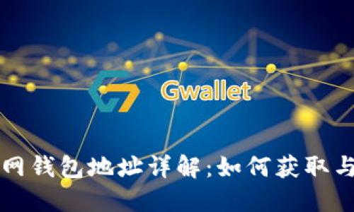 火币网钱包地址详解：如何获取与使用