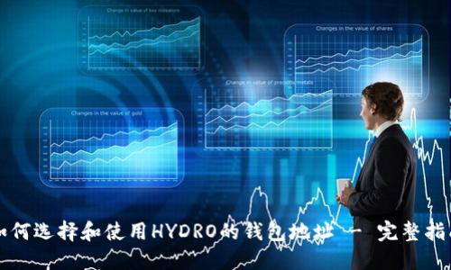 如何选择和使用HYDRO的钱包地址 - 完整指南