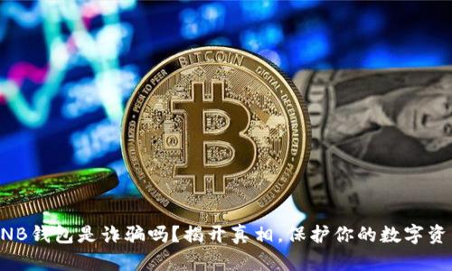 BNB钱包是诈骗吗?揭开真相,保护你的数字资产