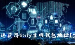  如何快速获得Only主网钱包地址？完全
