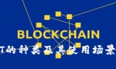 USDT的种类及其使用场景详解