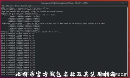 比特币官方钱包名称及其使用指南