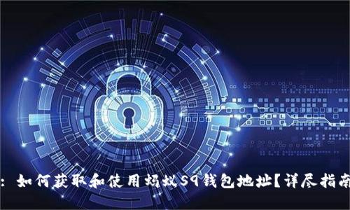 : 如何获取和使用蚂蚁S9钱包地址?详尽指南