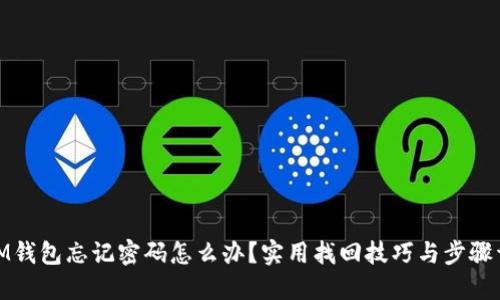 : IM钱包忘记密码怎么办?实用找回技巧与步骤详解