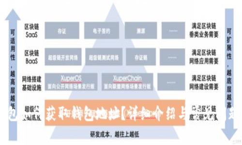 IM钱包如何获取钱包地址?详细介绍与常见问题解析