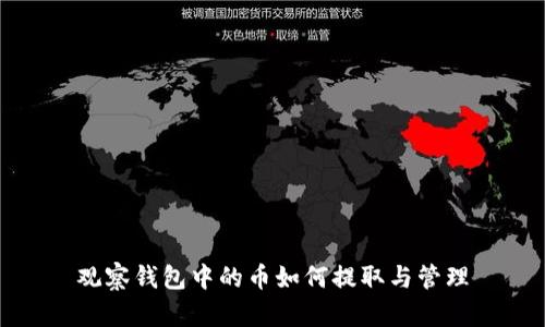 观察钱包中的币如何提取与管理