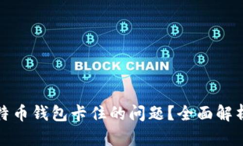 如何解决莱特币钱包卡住的问题?全面解析与解决方案