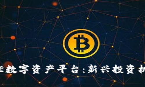 : 深入解析BHE数字资产平台:新兴投资机会与潜在风险