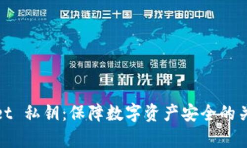tpWallet 私钥:保障数字资产安全的关键所在