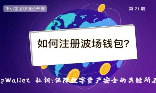 tpWallet 私钥:保障数字资产安全的关键所在