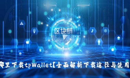  在哪里下载tpWallet？全面解析下载途径与使用指南