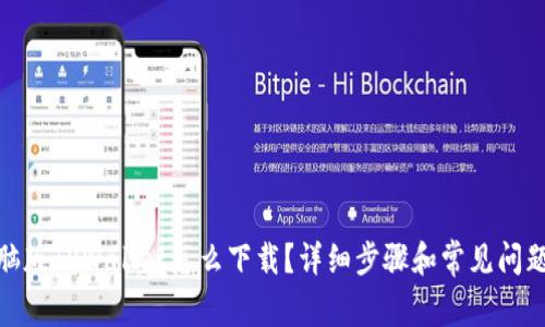 : 电脑版TPWallet怎么下载?详细步骤和常见问题解答