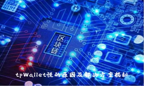 tpWallet慢的原因及解决方案揭秘