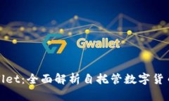 tpWallet：全面解析自托管数字货币钱包